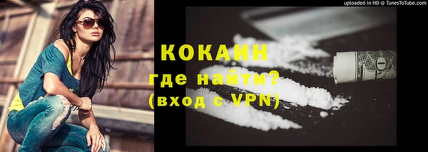 ГАЛЛЮЦИНОГЕННЫЕ ГРИБЫ Кукмор