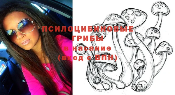 apvp Кулебаки