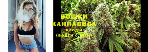 ГАЛЛЮЦИНОГЕННЫЕ ГРИБЫ Кукмор