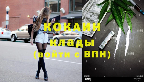 ГАЛЛЮЦИНОГЕННЫЕ ГРИБЫ Кукмор
