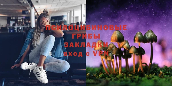 ГАЛЛЮЦИНОГЕННЫЕ ГРИБЫ Кукмор