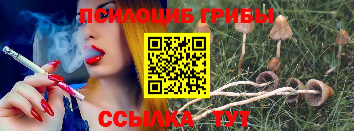 Галлюциногенные грибы Magic Shrooms  Вход с VPN  Галлюциногенные грибы Psilocybine cubensis  Холмск 
