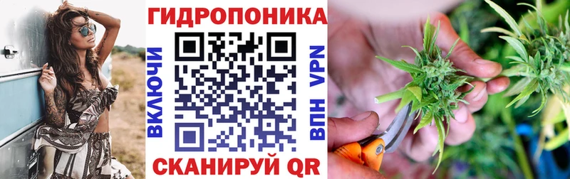 наркота Холмск Шишки марихуана гибрид